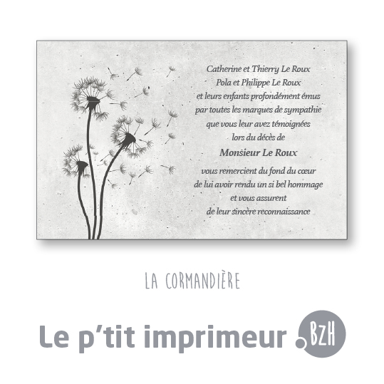 Carte de remerciements La Cormandière - Format 128 x 82 mm