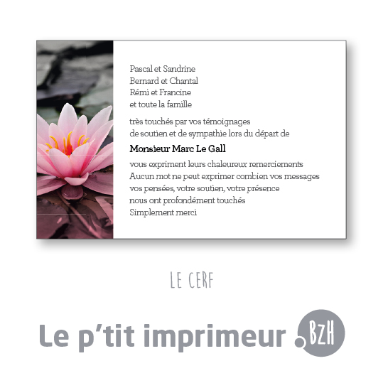 Carte de remerciements Le Cerf - Format 128 x 82 mm