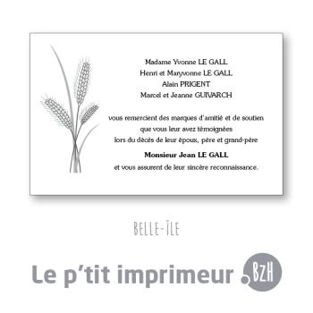 Carte de remerciements Belle-Ile - Format 128 x 82 mm | Le p'tit imprimeur.bzh