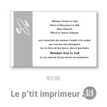 Carte de remerciements Moutons - Format 128 x 82 mm | Le p'tit imprimeur.bzh